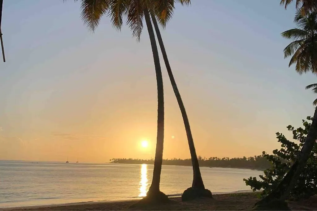 Apartment Ballenas Beach C6 Las Terrenas
