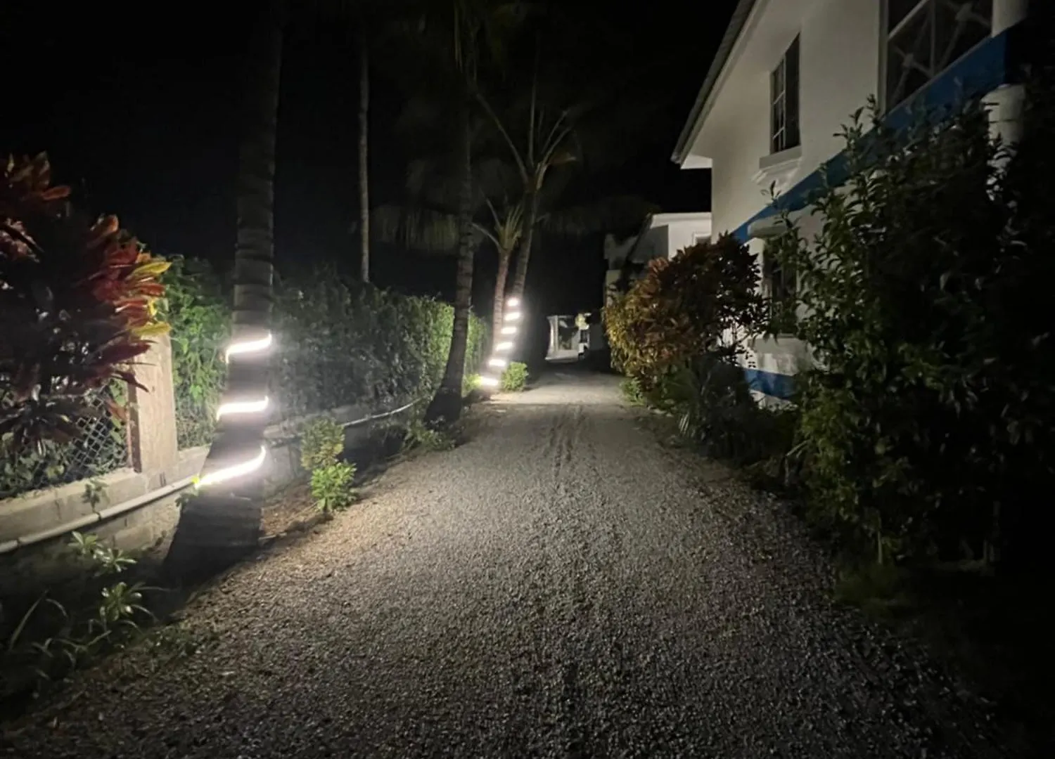 Apartment Ballenas Beach C6 Las Terrenas Dominican Republic